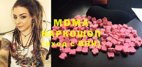 шишки Абаза