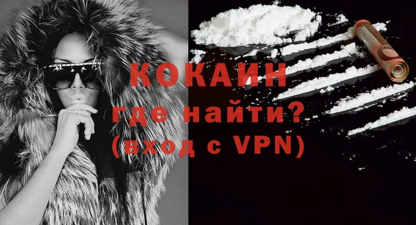 шишки Абаза