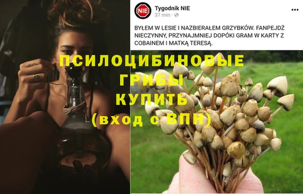 альфа пвп Алексеевка