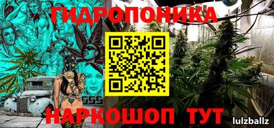 ГАЛЛЮЦИНОГЕННЫЕ ГРИБЫ Ачхой-Мартан