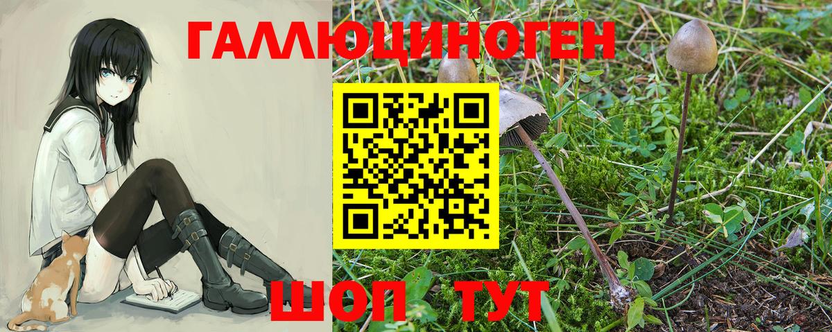 Астрахань  Галлюциногенные грибы MAGIC MUSHROOMS  Вход с VPN 