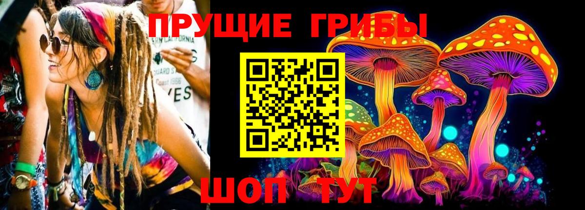 Псилоцибиновые грибы Psilocybe Астрахань